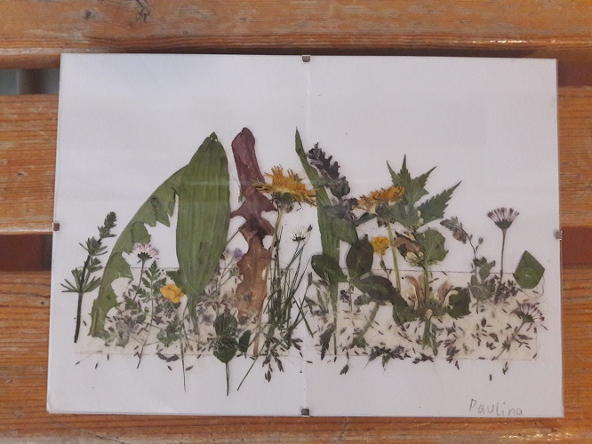 blumen02.jpg