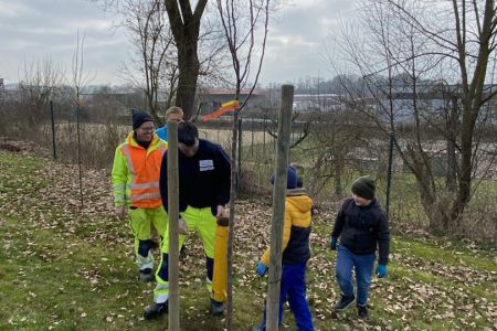 Baumpflanzaktion 3a_23-24 (12)