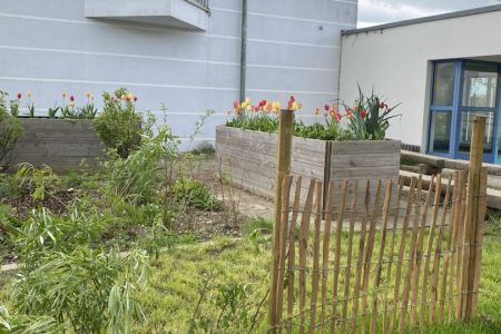 Frühling_23-24 (6)