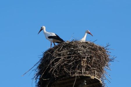 Natur-AG_24-25 (1)