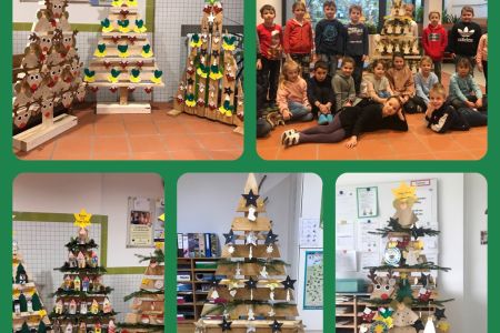 Weihnachtsbaumaktion_2022-23