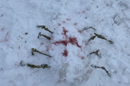 Wintersporttag_23-24 (4)